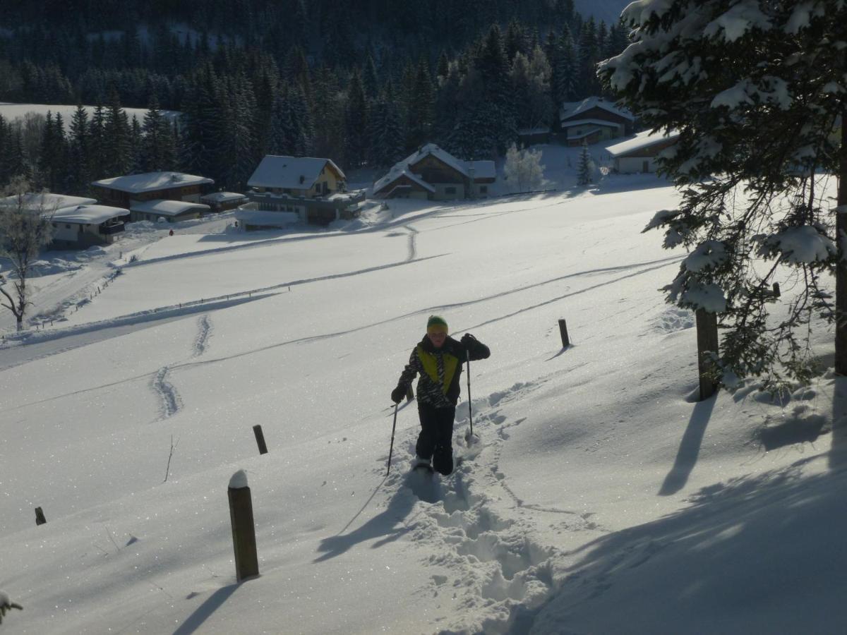 Ferienwohnung Mein Alpenjuwel Filzmoos Exterior foto