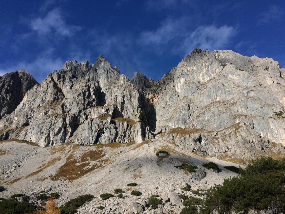 Ferienwohnung Mein Alpenjuwel Filzmoos Exterior foto